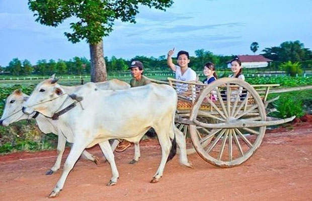 Visiting Countryside 
